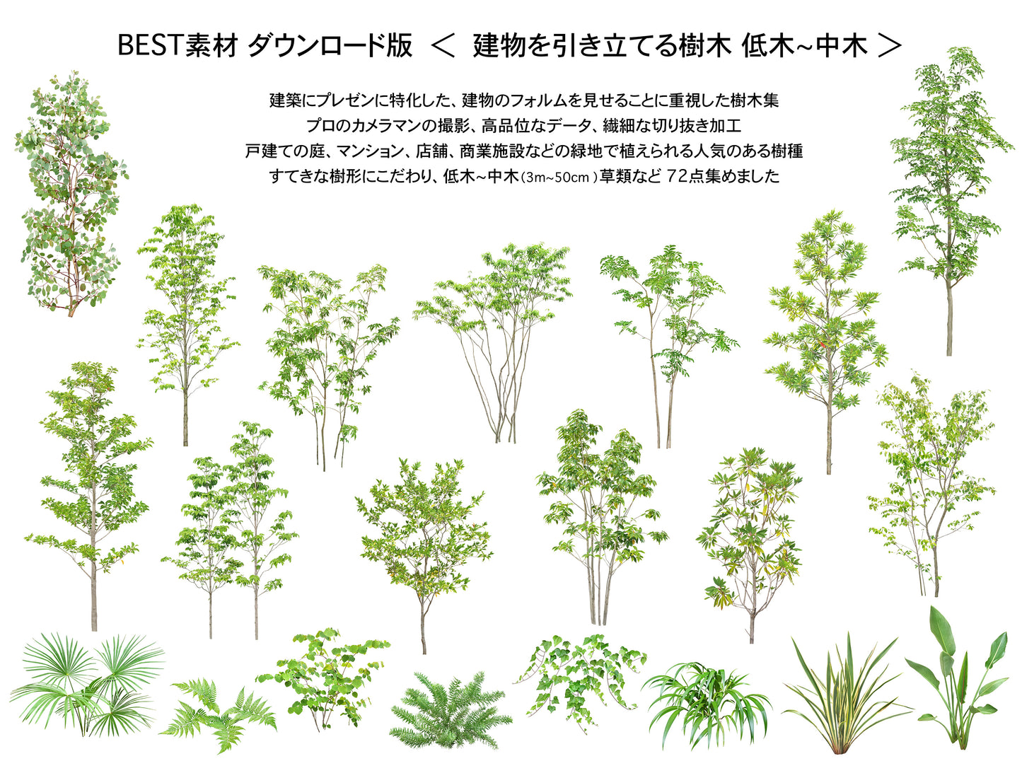 【BEST素材】(建物を引き立てる樹木)低木-中木