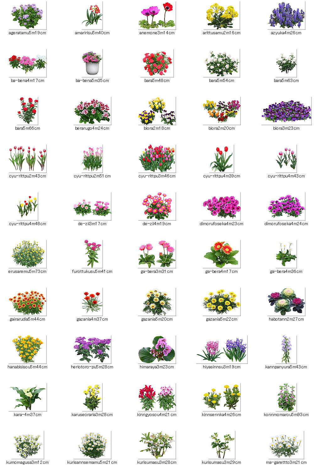 【BEST素材】春の花