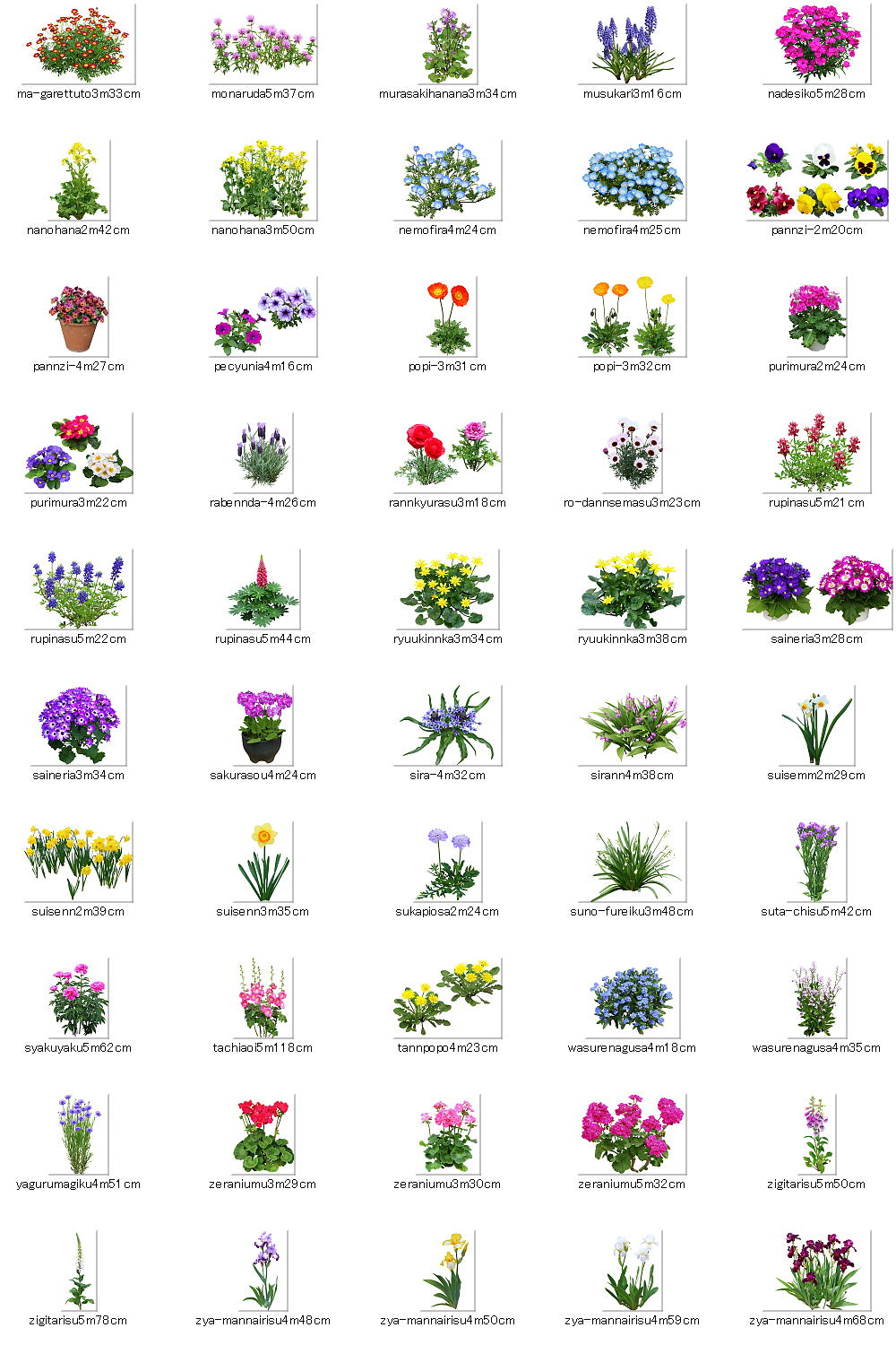 【BEST素材】春の花