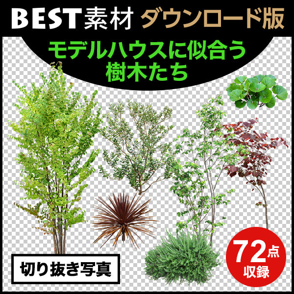 【BEST素材】モデルハウスに似合う樹木たち