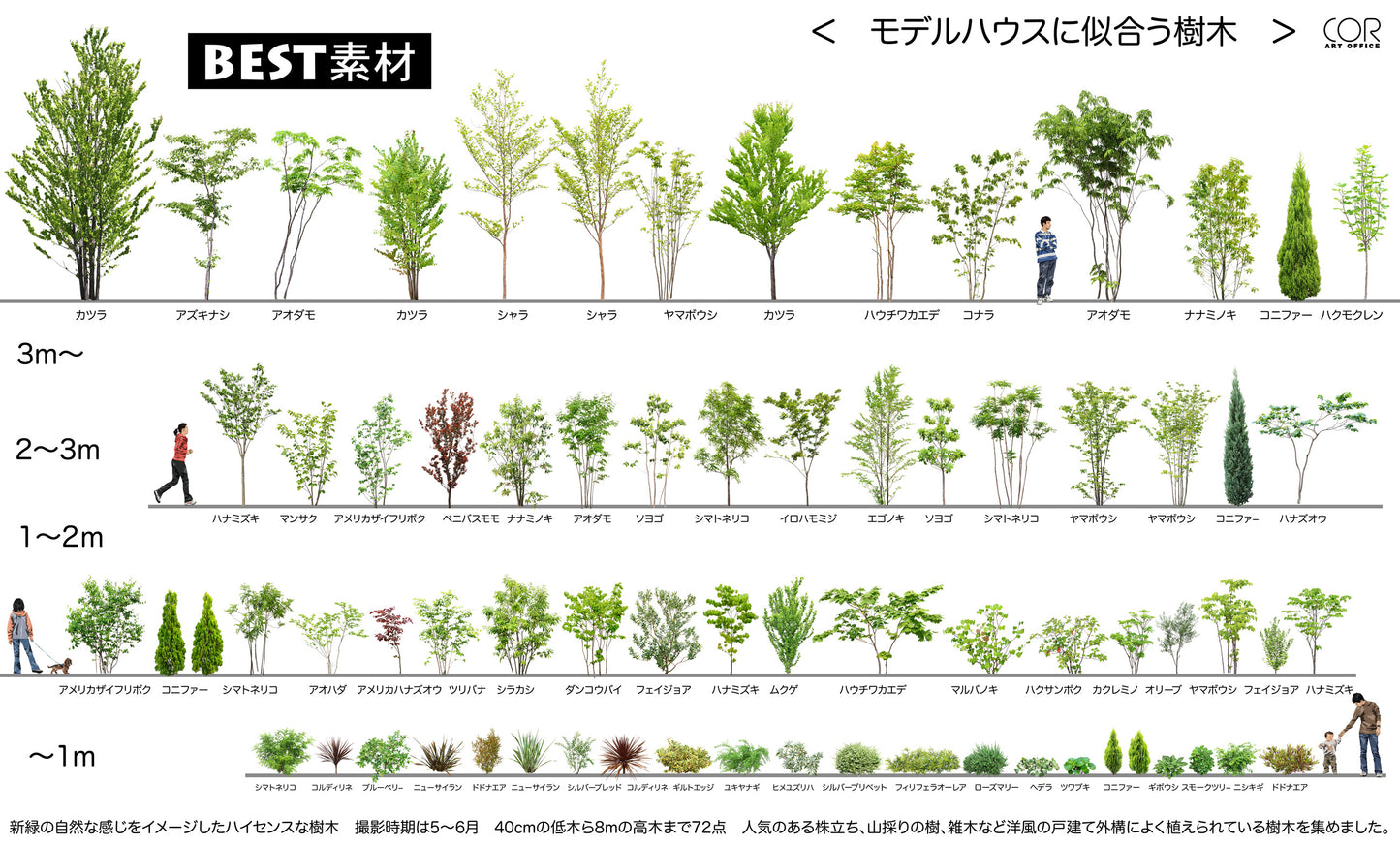 【BEST素材】モデルハウスに似合う樹木たち