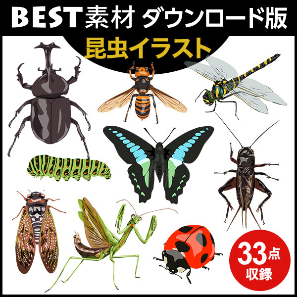 【BEST素材】昆虫イラスト