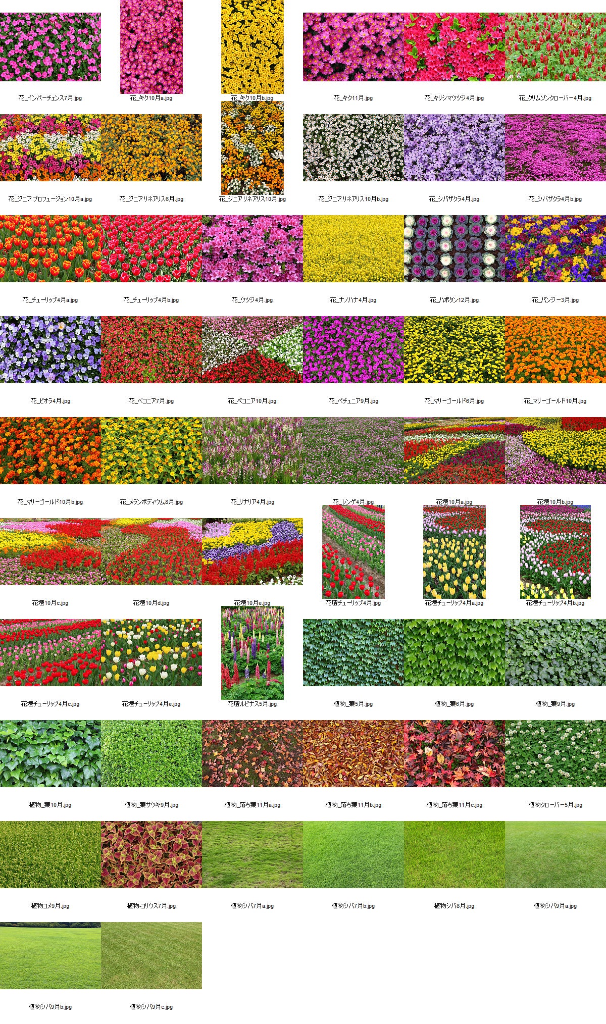 【BEST素材】花・芝・葉