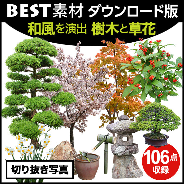 【BEST素材】和風を演出_樹木と草花