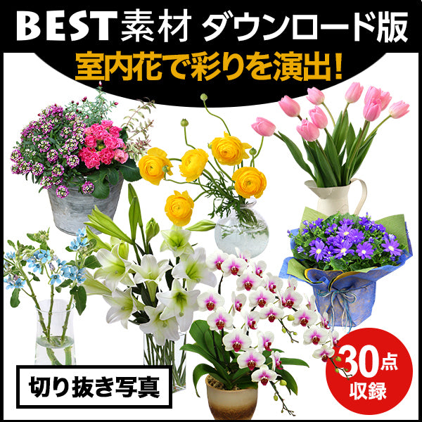 【BEST素材】室内花で彩りを演出!