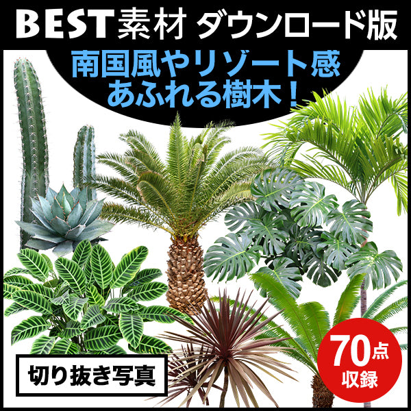 【BEST素材】南国風やリゾート感あふれる樹木!
