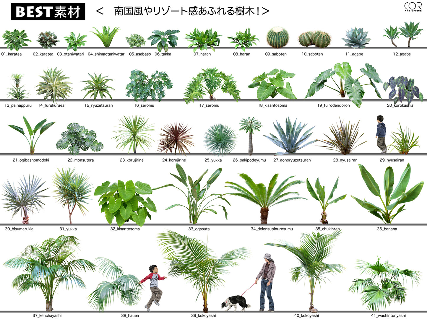 【BEST素材】南国風やリゾート感あふれる樹木!