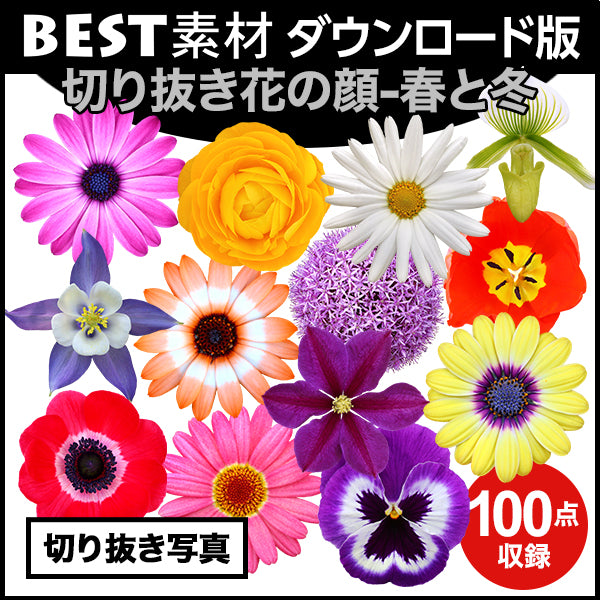 【BEST素材】花の顔-春と冬