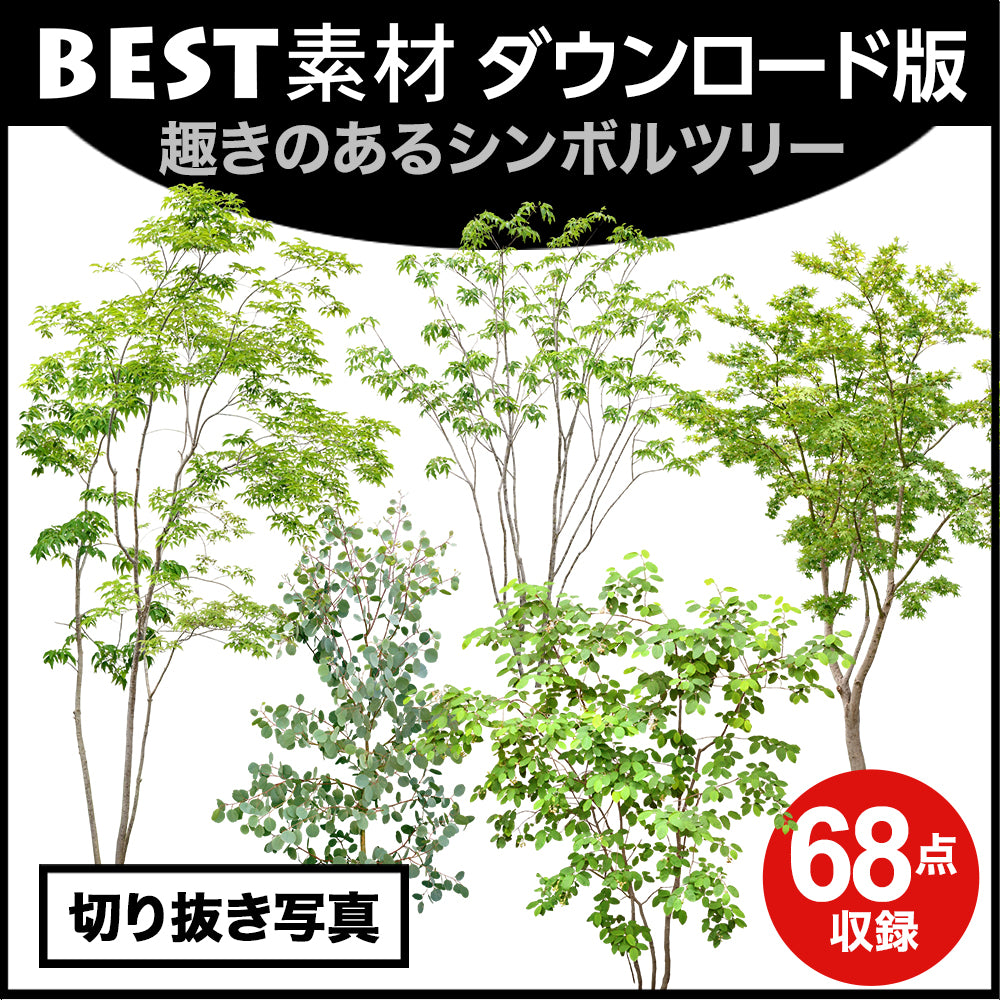 【BEST素材】趣きのあるシンボルツリー