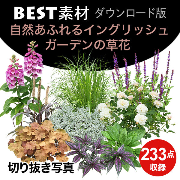 【BEST素材】自然あふれるイングリッシュガーデンの草花