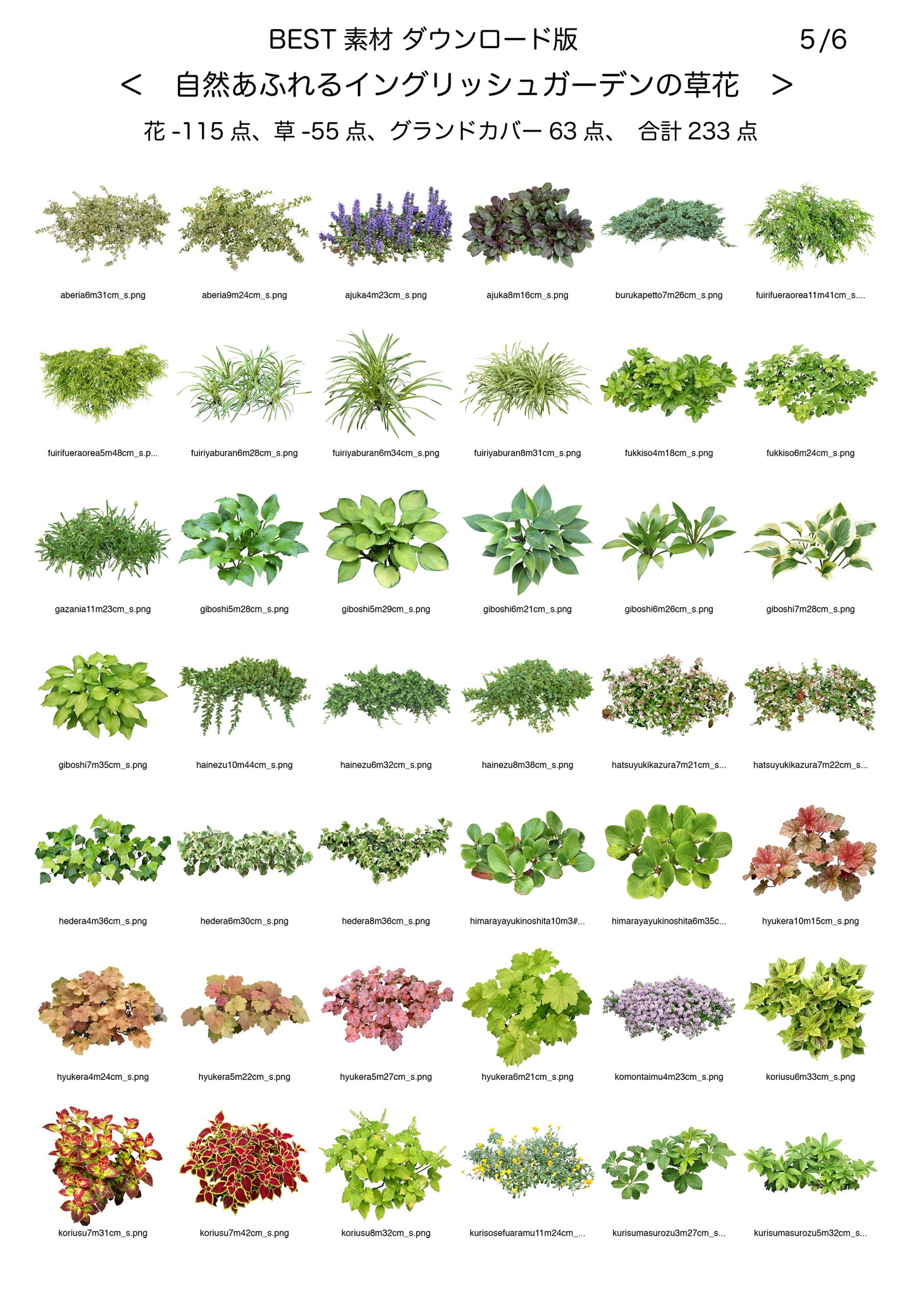 【BEST素材】自然あふれるイングリッシュガーデンの草花