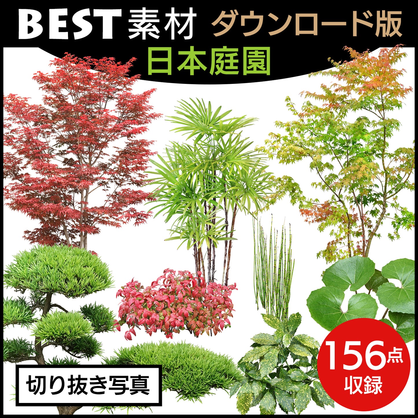 【BEST素材】切り抜き写真_日本庭園