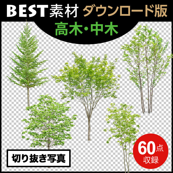 【BEST素材】(建物を引き立てる樹木)高木-中木