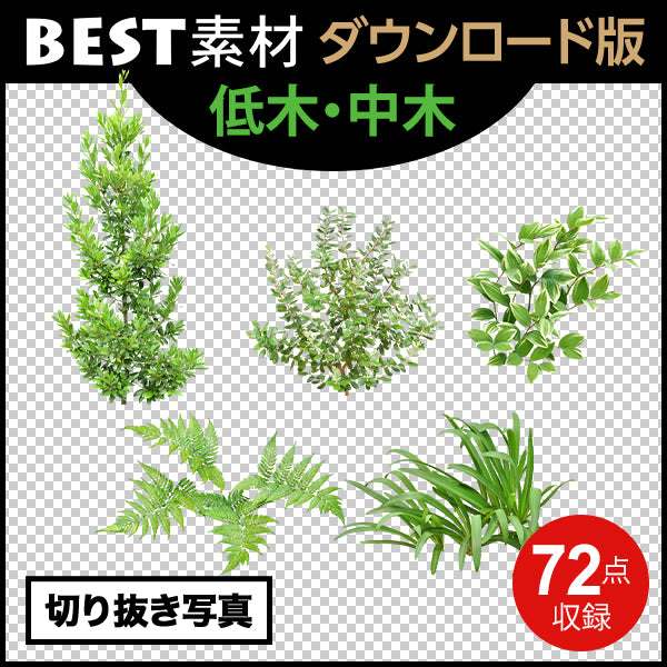 【BEST素材】(建物を引き立てる樹木)低木-中木