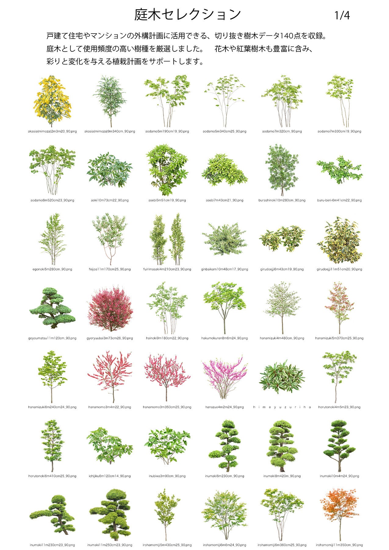 【BEST素材】庭木セレクション