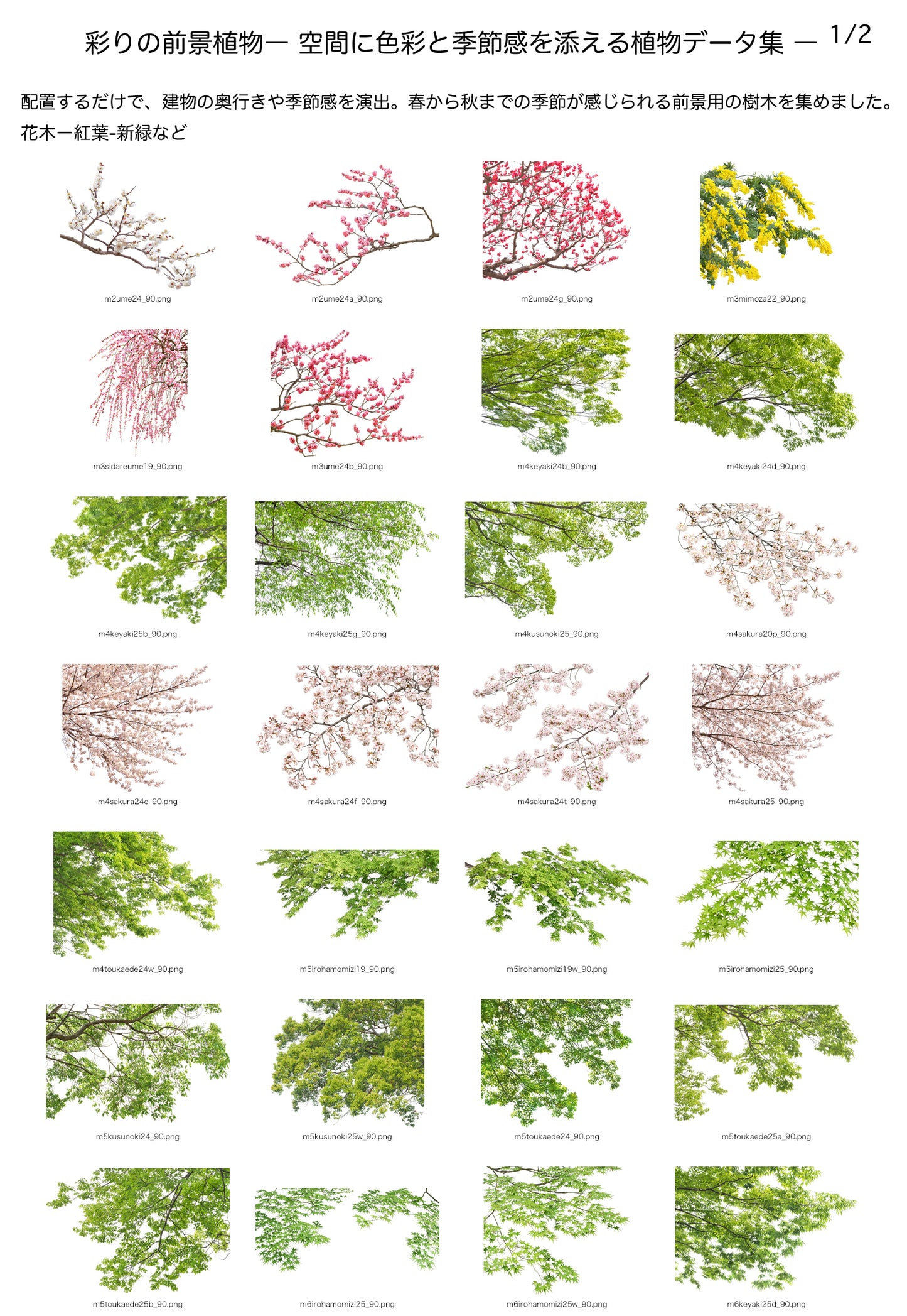 【BEST素材】彩りの前景植物―空間に色彩と季節感を添える植物データ