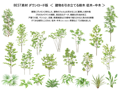 【BEST素材】（建物を引き立てる樹木）低木-中木