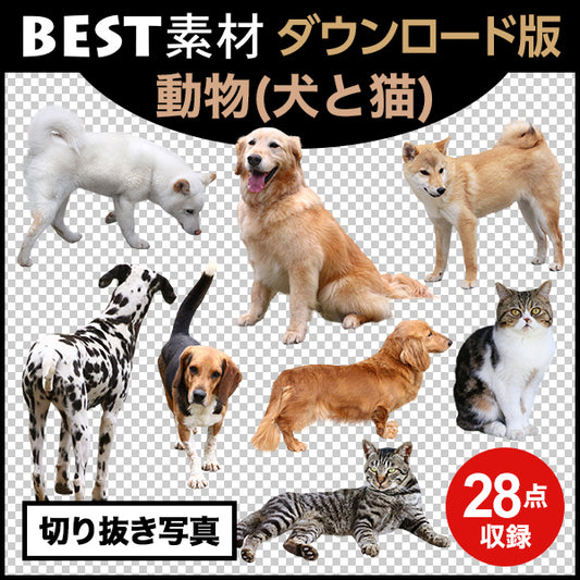 【BEST素材】動物(犬と猫)