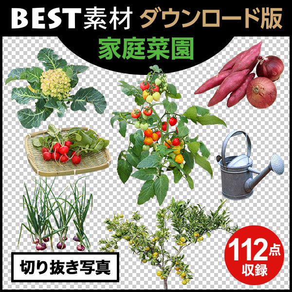 【BEST素材】家庭菜園
