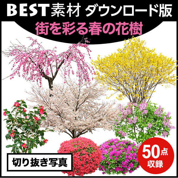 【BEST素材】街を彩る春の花樹