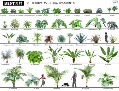 【BEST素材】南国風やリゾート感あふれる樹木！