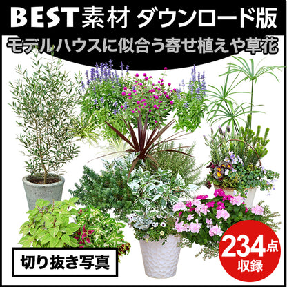 【BEST素材】モデルハウスに似合う寄せ植えや草花