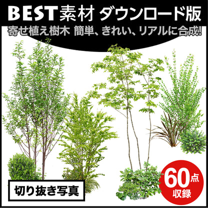 【BEST素材】寄せ植え樹木 簡単、きれい、リアルに合成！