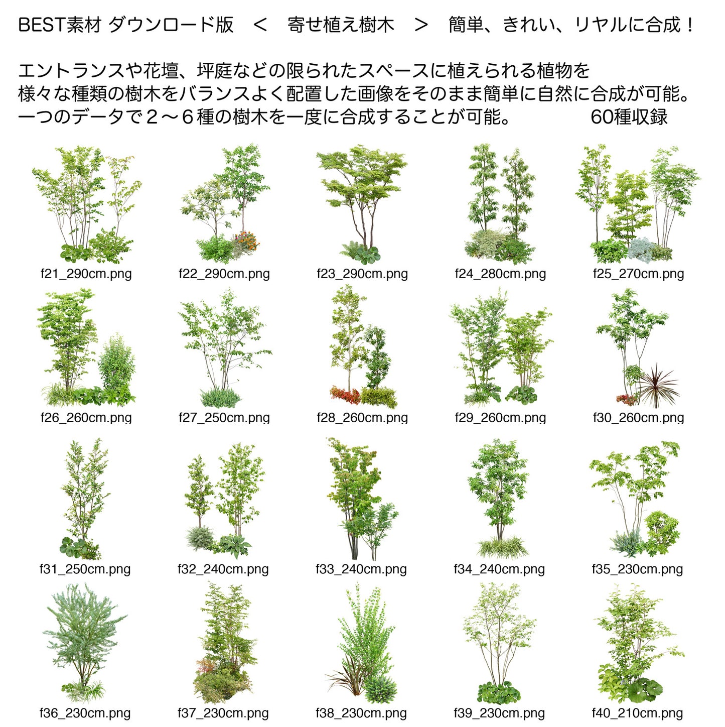 【BEST素材】寄せ植え樹木 簡単、きれい、リアルに合成！