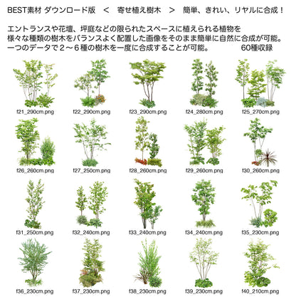 【BEST素材】寄せ植え樹木 簡単、きれい、リアルに合成！