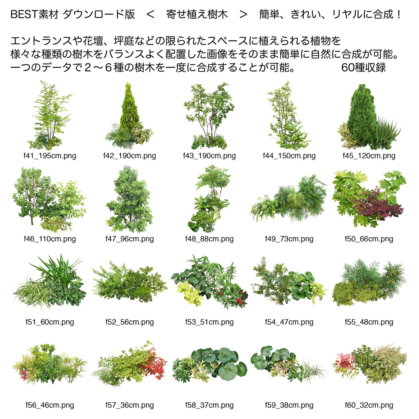 【BEST素材】寄せ植え樹木 簡単、きれい、リアルに合成！