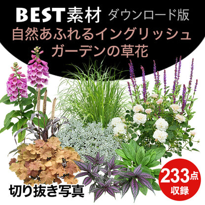 【BEST素材】自然あふれるイングリッシュガーデンの草花