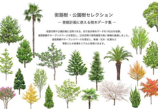 【BEST素材】街路樹・公園樹セレクション―景観計画に使える樹木データ集
