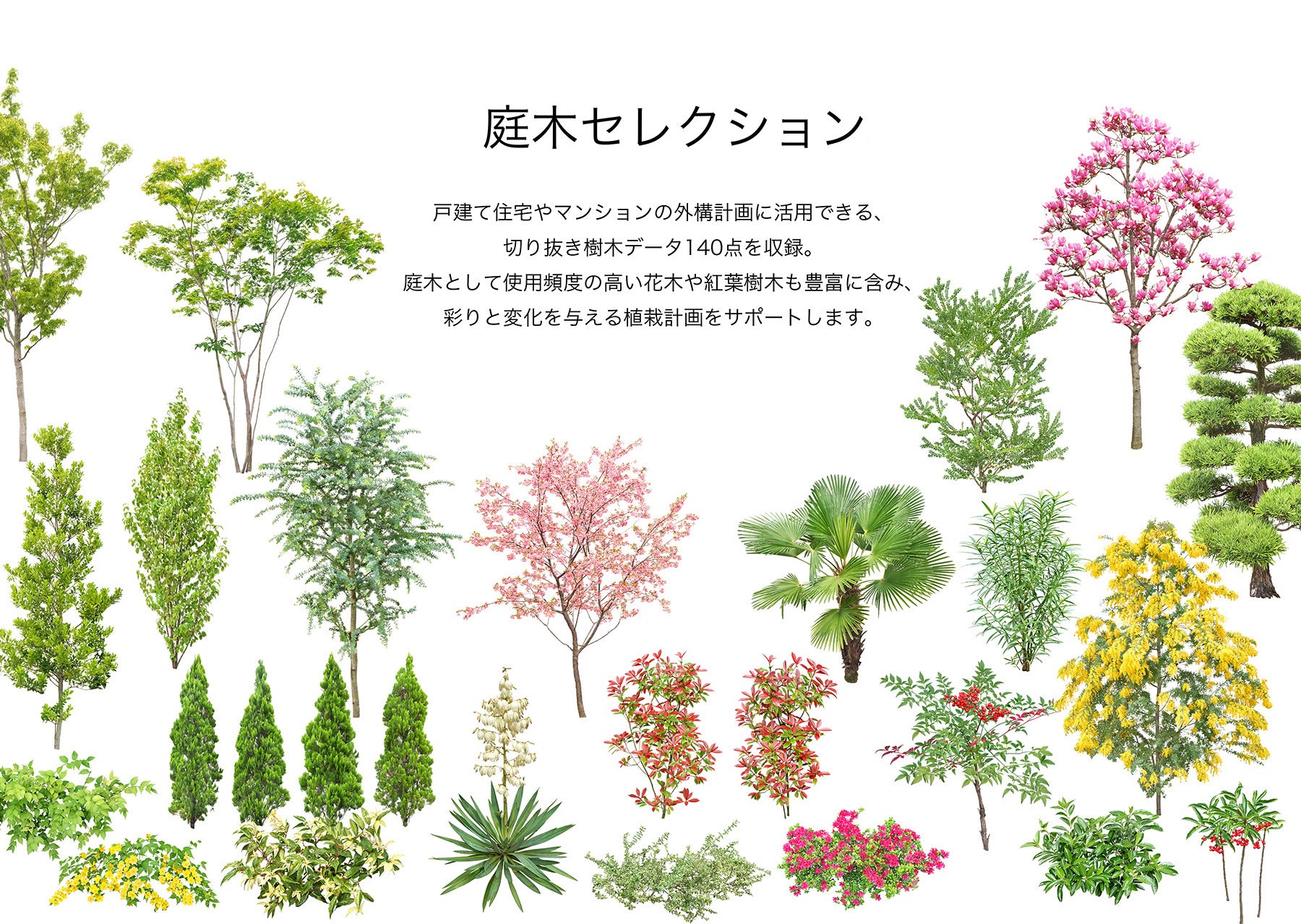 BEST素材】庭木セレクション – メガソフトショップ